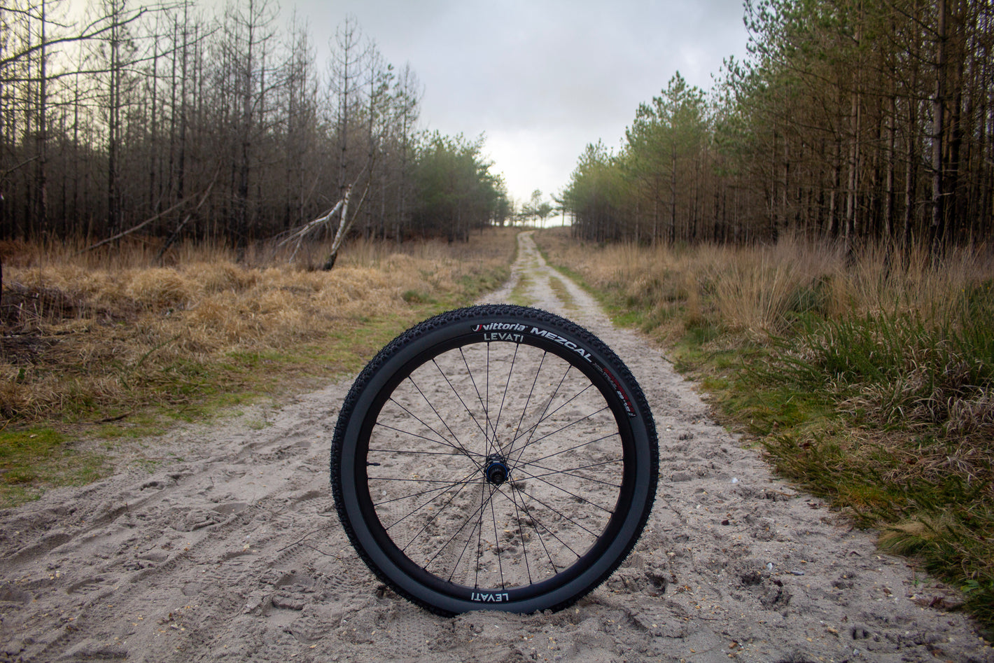 Levati XC32 stand-alone outside, Wareham Forest